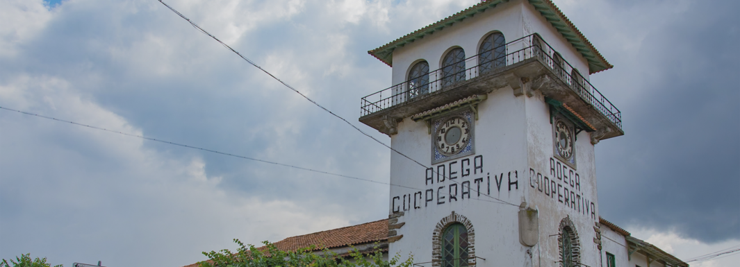 As memórias da Adega Cooperativa em exposição