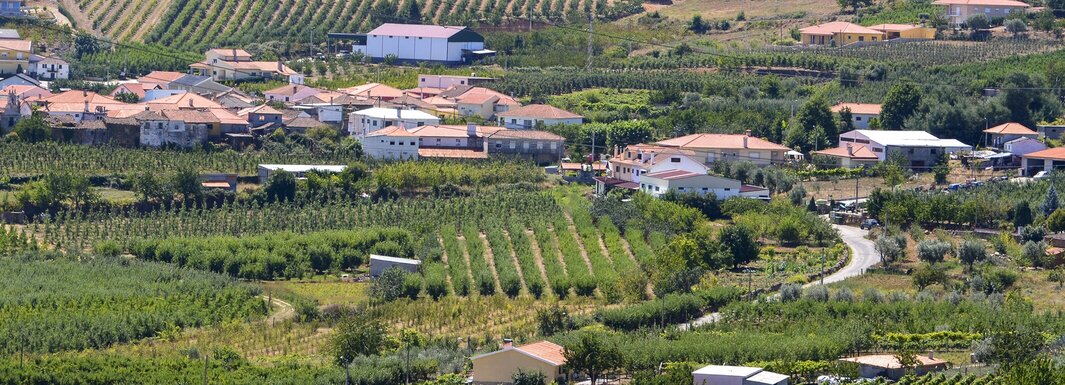 Vão começar as obras de requalificação da rede viária em Armamar