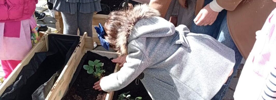 Armamar Futsal Clube vence fundo ambiental 