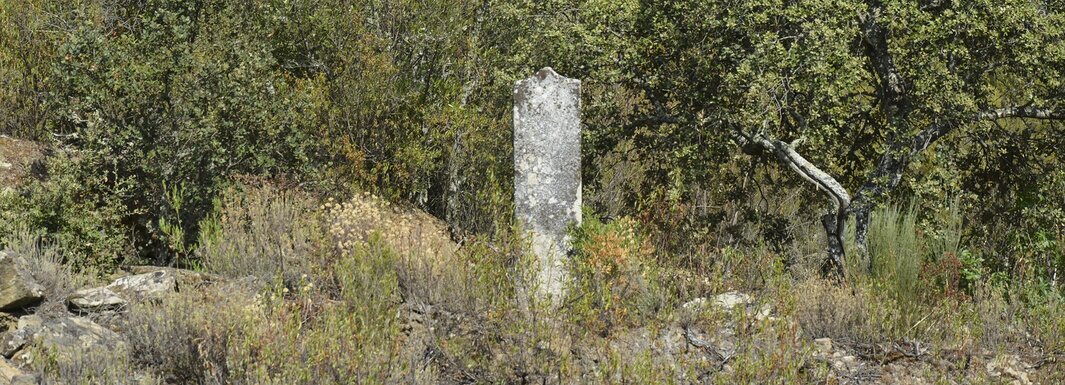 O Douro do Marquês de Pombal este fim de semana em Armamar
