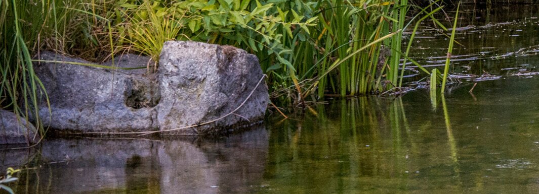 Instalados 33 oleões GOTA em Armamar