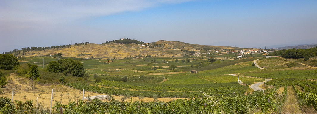 Jornadas Europeias de Arqueologia com destaque para o Menir de Fontelo 