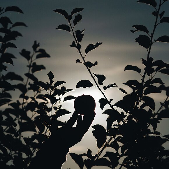 2020_10_16_105235543