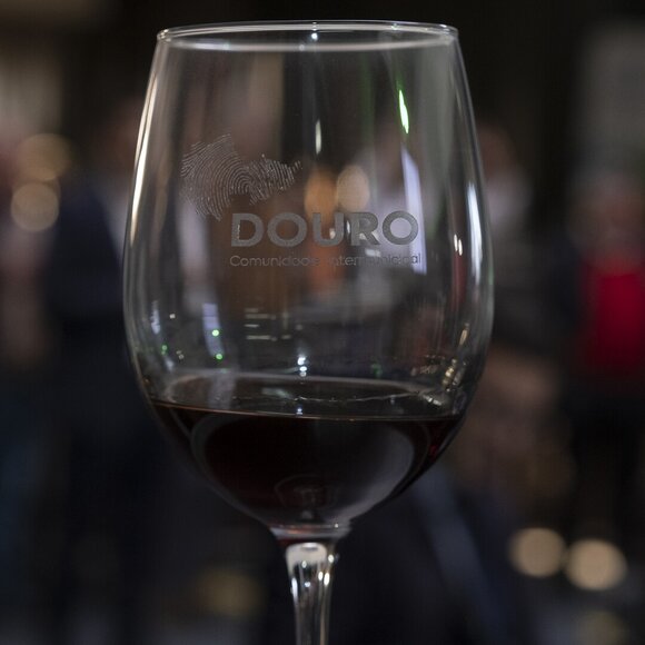 web_montra_vinica_2023_7940