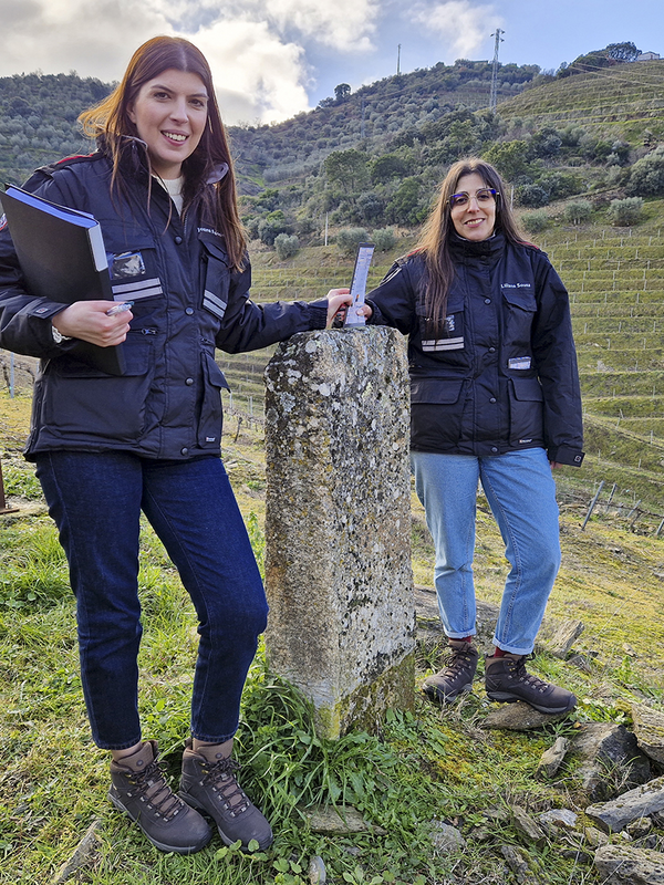 square_20250205_151605