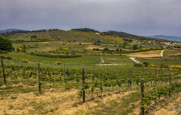 final_vale_nacaraes_1_2