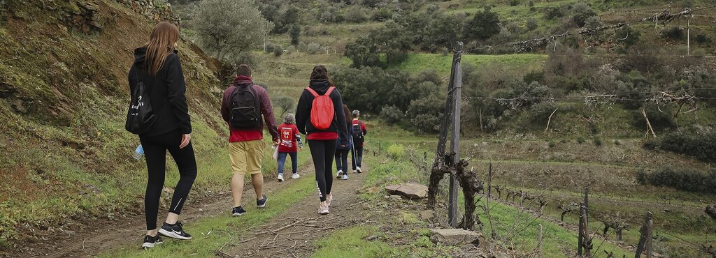 Caminhada da Montra Vínica 2025 