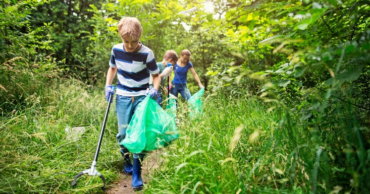 IPDJ abre candidaturas ao Voluntariado Jovem para a Natureza e Florestas 