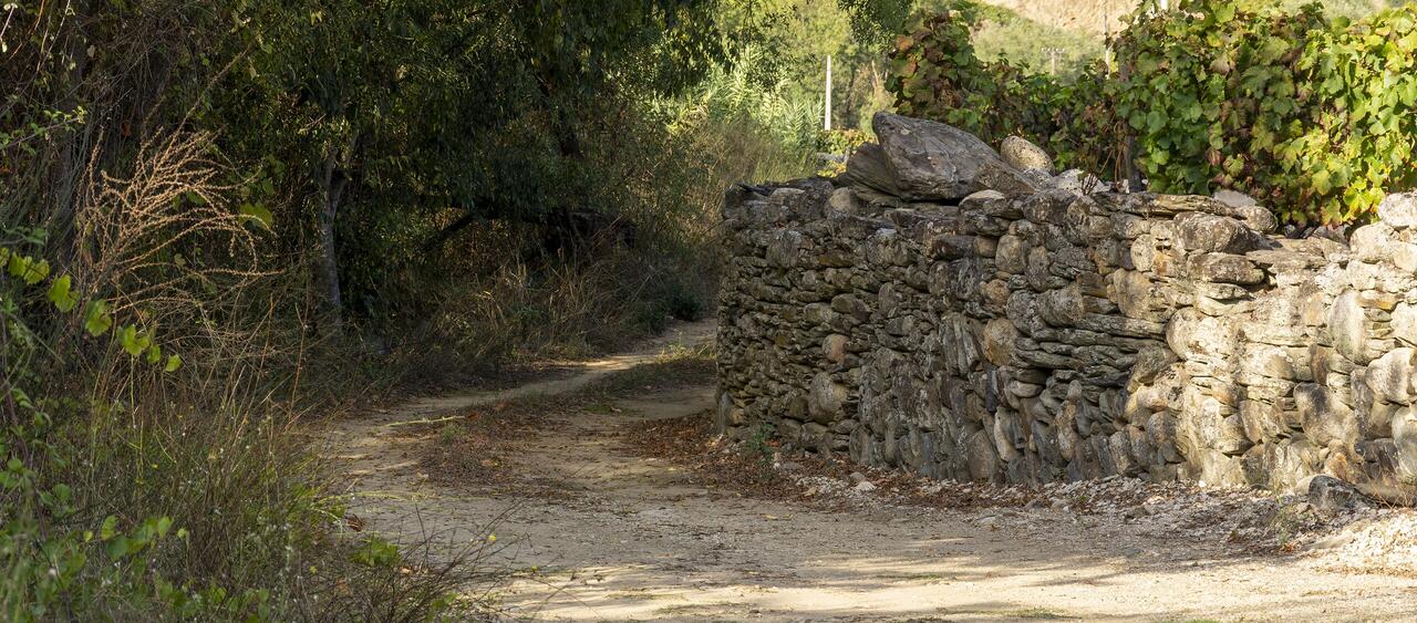 pontao-vale-tedo-2021-4356