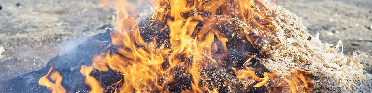 CM Armamar  Banner (site) reduzido (3)