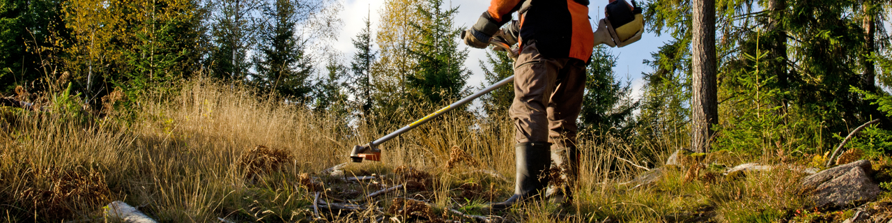 CM Armamar  Banner (site) reduzido (4)