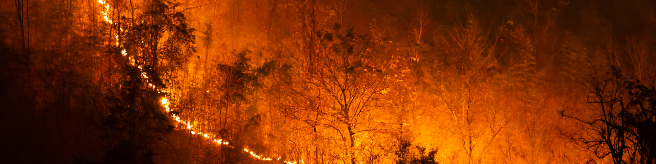 CM Armamar  Banner (site) reduzido (5)