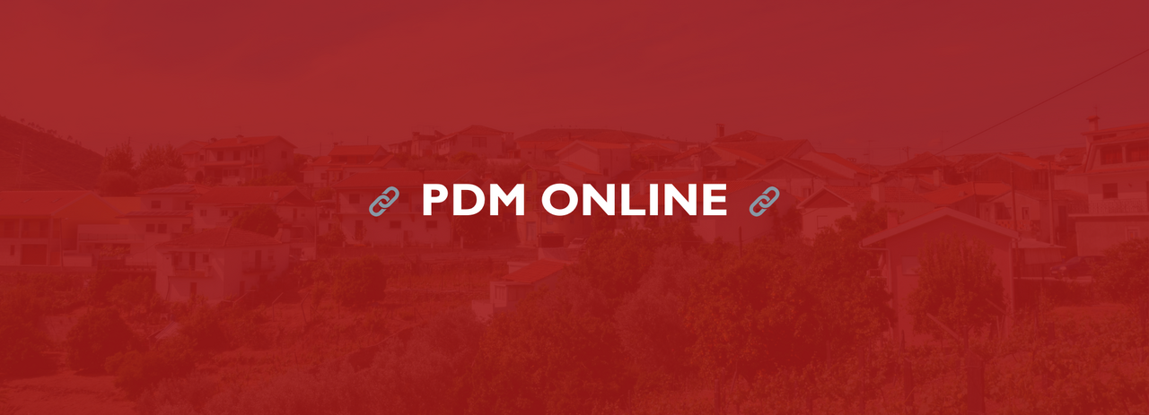 PDM ONLINE